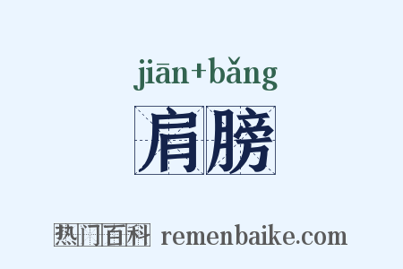 肩膀是什么意思的图片